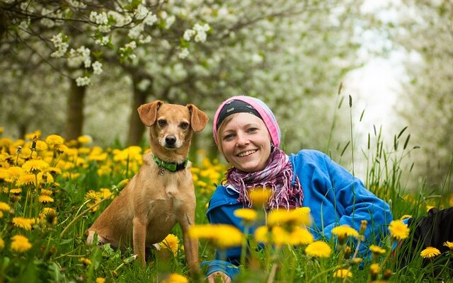 Digital dynamik: Tips til succesfuldt online samarbejde i fjernundervisningen